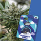 BLUEBERRY BUBBA - Automatics Seeds - Cali Seeds