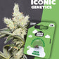 JACK HERER - Automatics - Cali Seeds - Iconic Genetics